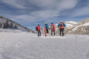 Apartmenthaus - Erlebenswert Bauernhof Gruber