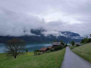 Lakeview Basement Apartment near Interlaken