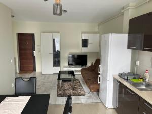 Mircea’ home Sibiu