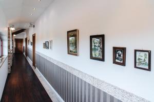 Kastély gróf Zichy