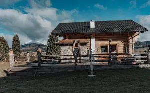 Dei Zeit (Deine Zeit) - Ramingstein