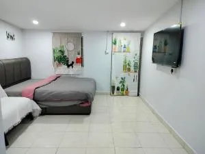 The Big Family Homestay - 加央