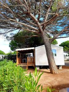 Appartements H01 Emplacement confort au Mar Estang 4* : Mobile Home