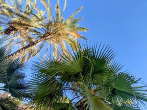 La Kasbah - Bajo con jardín - Urbanización privada - Ground floor with garden - Private urbanization