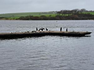Cosy home with stunning views
