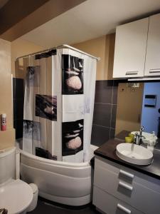 T2 AVIGNON climatisé intra muros spacieux et lumineux