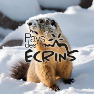 PUY SAINT VINCENT APPARTEMENT T2 BALCON SUPER PANORAMA AVEC PARKING PRIVE COUVERT et PISCINE LETE