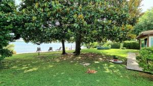 VILLA CECILIA sul LAGO fronte MARE