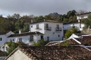 La Oliva - Montejaque