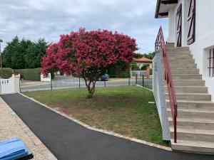 Résidence « les Gets » Location T4 Vieux-Boucau-Les-Bains