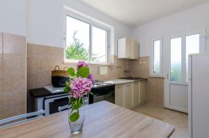 Apartment Pavo 
