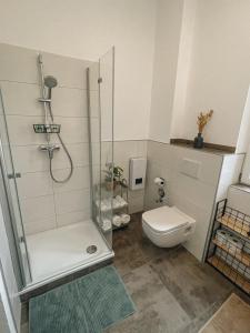 Charmant and Exclusive Apartments im Herzen Saarbrückens