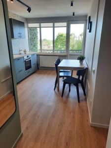 Fukša Saules dzīvoklis