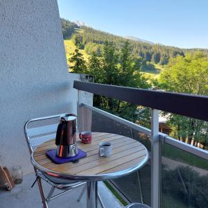 Appartements Studio aux pieds des pistes - Le Balcon de Villard : photos des chambres