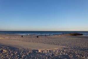 Cosy Sea View Apartment