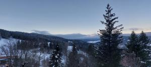 Appartements Studio aux pieds des pistes - Le Balcon de Villard : photos des chambres