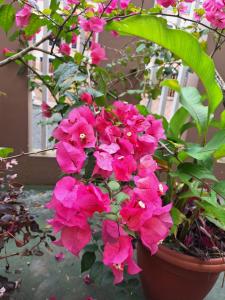 Amplio departamento con garage y cerca al Shopping