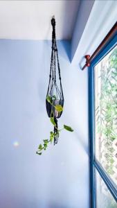 Oasis Departamento Boutique