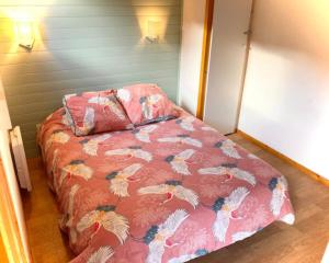 Tout confort sur les pistes