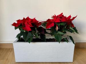 Escale St Charles - 150m de la Gare, vue sur Notre-Dame de la Garde