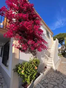 Luna Dorada Vera Playa- bajo - Los Amarguillos