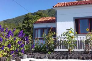 Sunflower Guest House - Madalena - Pico