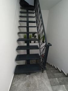 Old Town Studio 1 apartment nr 1