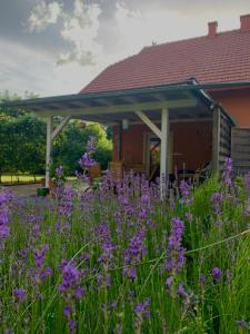 obrázek - Ferienwohnung Dobernik