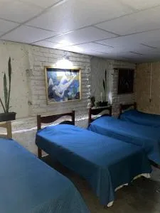 Garden Guest House - Chao