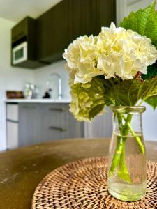 Matamata Country B&B