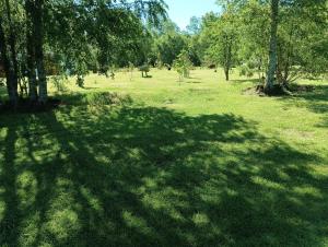 Casa Cudico bajo- Lican ray