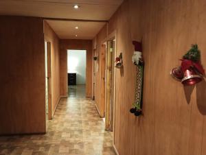 Casa Cudico bajo- Lican ray