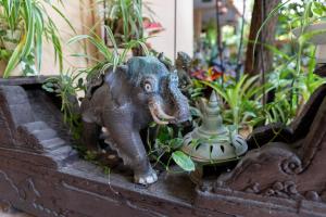 At Chiang Mai Hotel