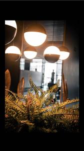 Apartamento vista para o mar