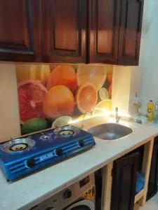 Youth Palace Hostel هوستل قصر الشباب - ‘Izbat Muḩsin Bāshā