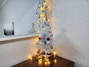 Newly Renovated 2 Bedroom Apartment #7