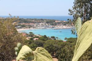 Appartements Appartamento con vista mare a 5 minuti dalla spiaggia : photos des chambres