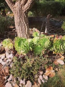 Its Practical Holidays