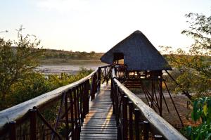 Bona Ngwenya Lodge & Safaris