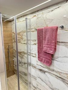 A fully renewed modern apartment