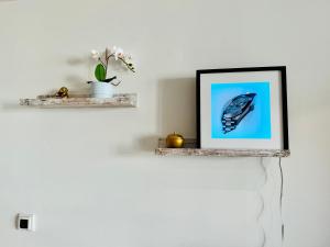 Modern Canary studio- Wifi