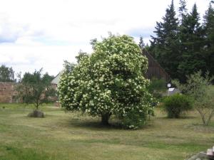 Ferienwohnung Bergschäferei