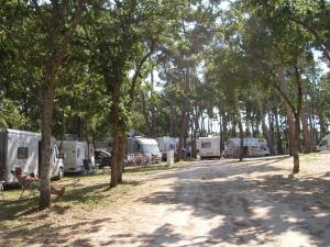 Empty lot (bring you own tent/caravan/camper) room in Villaggio Camping Bosco Selva