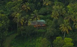 Punarjani Ayurvedic Resorts - Kambam