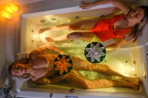 B&B / Chambres d'hotes Les Volets Violets : photos des chambres
