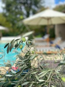 Villas Villa Florence : Villa avec Piscine Privée