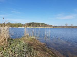 Fischerhaus Whg Sommerbrise