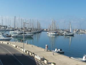 Acacia Marina img37