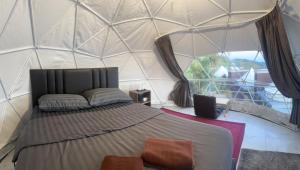 หลังสวน โฮมสเตย์ ดอยม่อนแจ่ม2