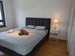 1 Bedroom Apartment with Garage & Outdoor Area in Kirchberg